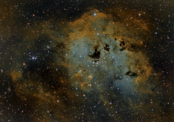 Περισσότερες πληροφορίες για το "Ic 410 Tadpoles Nebula"