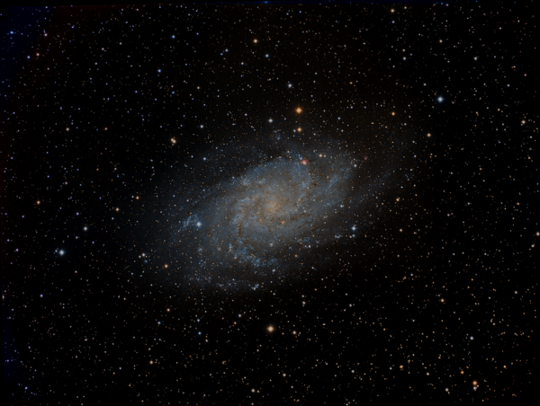 M 33