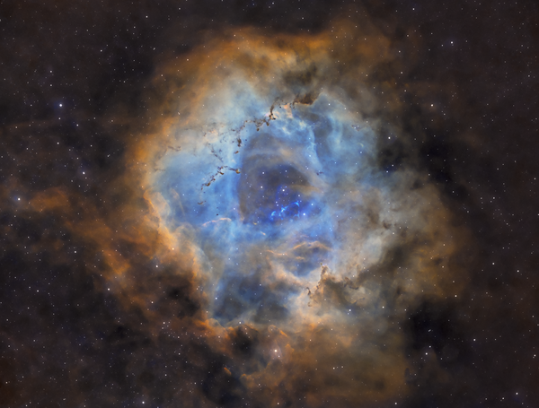 Rosette Nebula - Caldwell 49