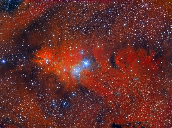 Ngc 2264 Cone Nebula Fox Fur