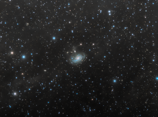 Ngc 772 - Unbarred Spiral Galaxy