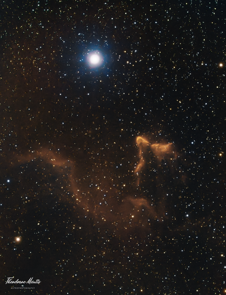 Ghost Nebula-ic 63 & Ic 59 - In Halrgb