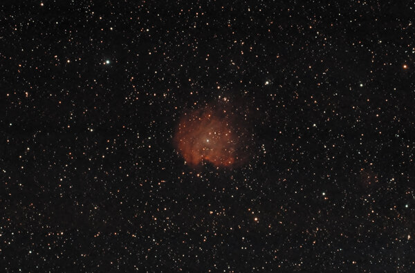 Ngc 2175 - Monkey Head Nebula