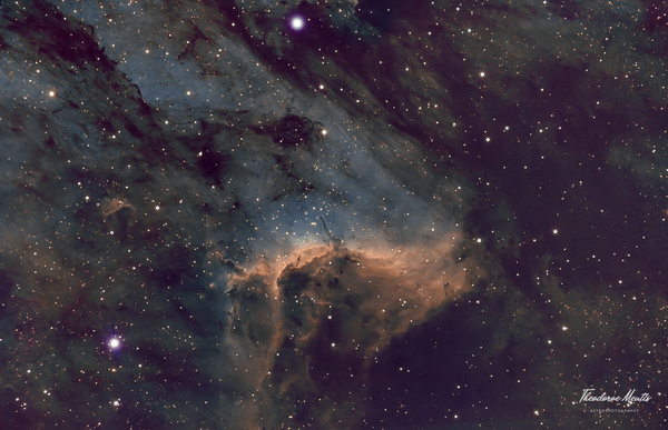 Pelican Nebula In Cygnus