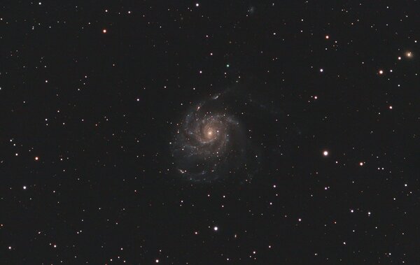 M101