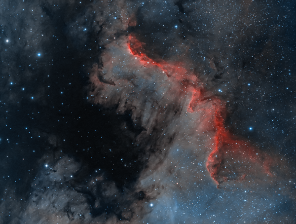 Ngc 7000 - North America Nebula (HOO)