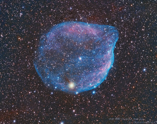 Περισσότερες πληροφορίες για το "Sh2 - 308 Dolphin Nebula"