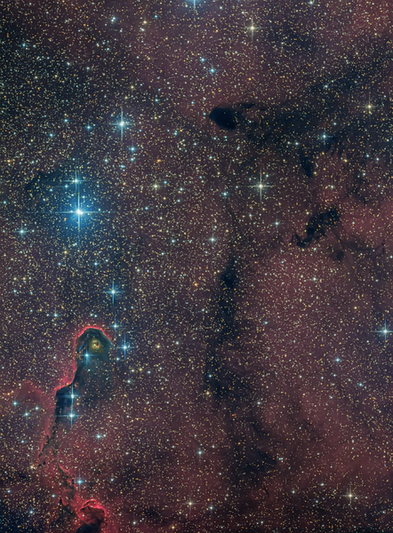 Ic 1396 - Elephant''s Trunk