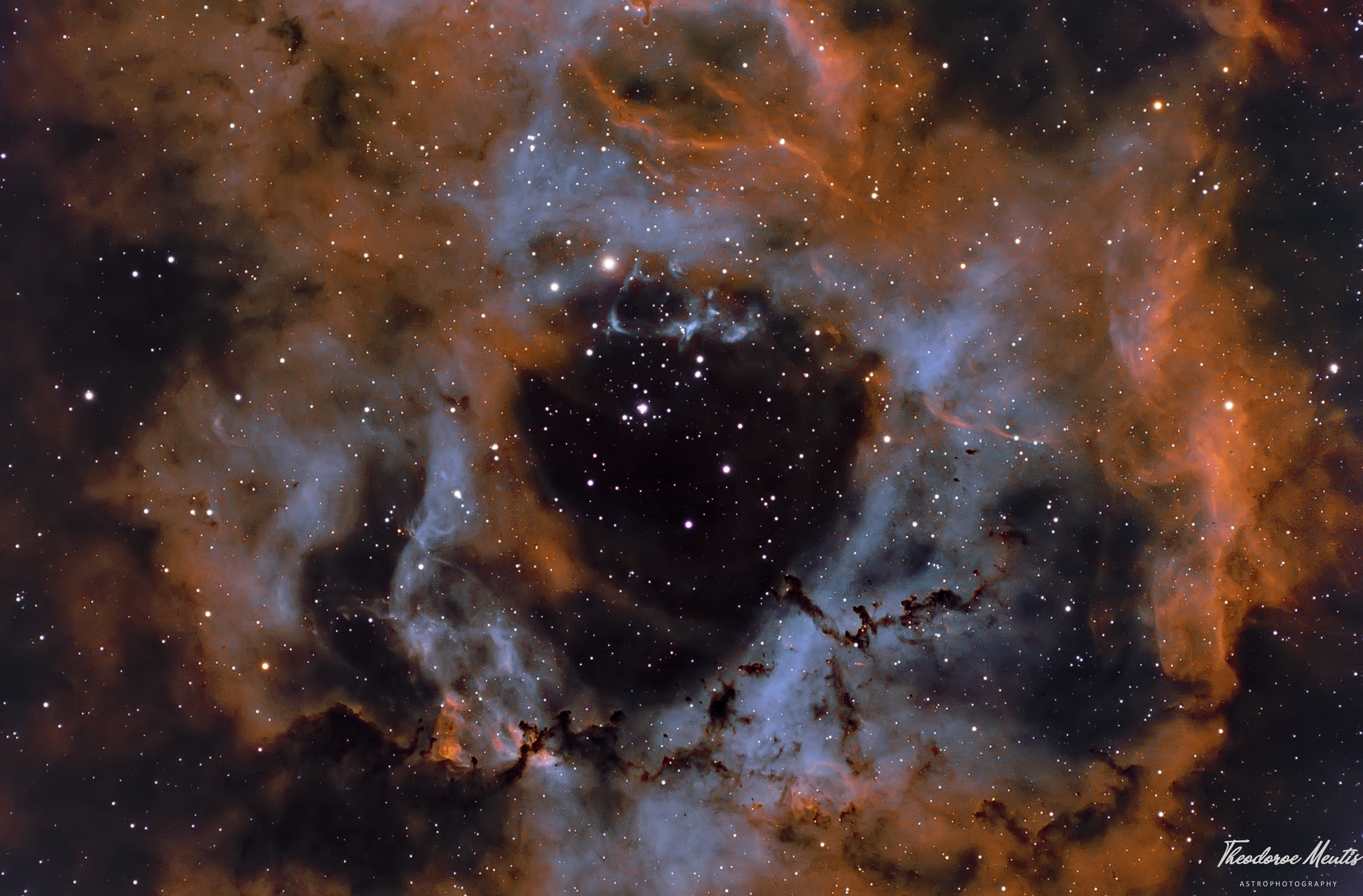 Caldwell 49 -the Rosette Nebula In Sho