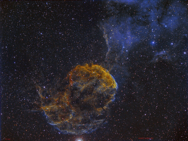 Jellyfish Ic 443