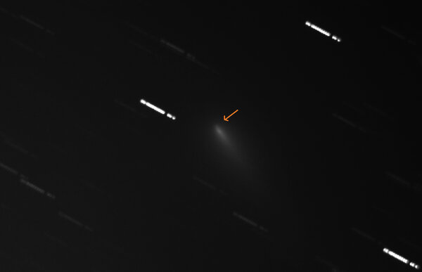 Κομήτης C/2019 Y4
