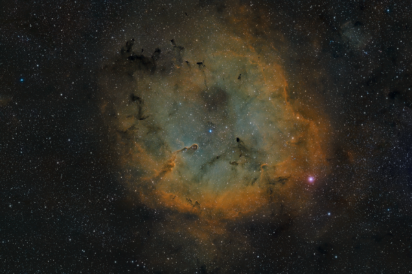 Ic1396 Elephant Trunk Nebula