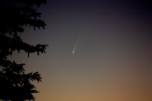 Comet C/2020 F3 Neowise 06/07/2020