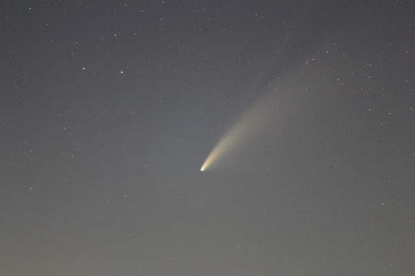 Comet Neowise