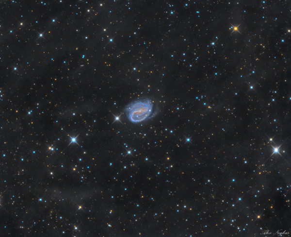 Ngc 7479 Superman Galaxy + Ifn