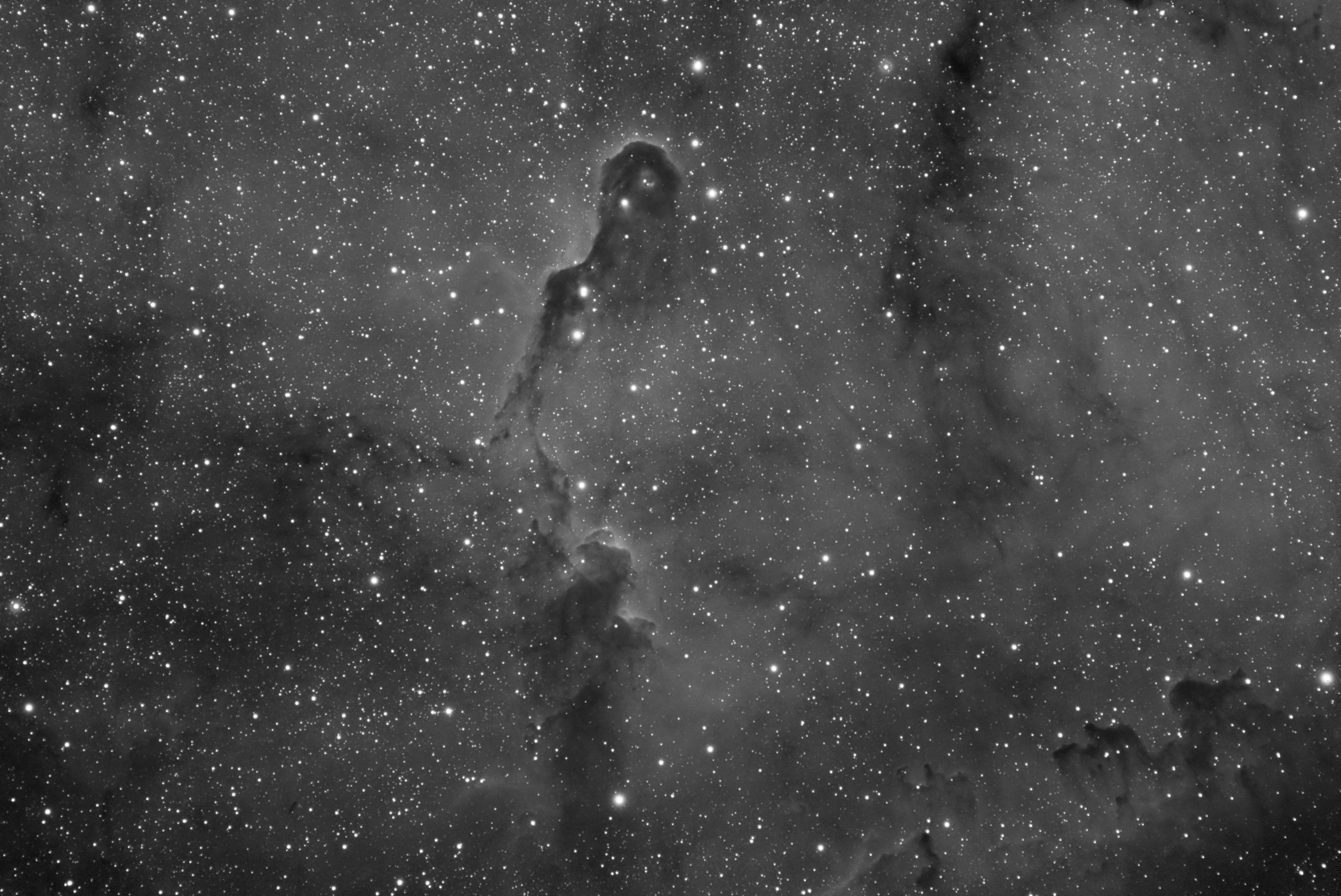 Ic 1396 - The Elephant''s Trunk Nebula.
