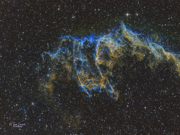 Ngc 6995 Bat Nebula (part Of Veil)
