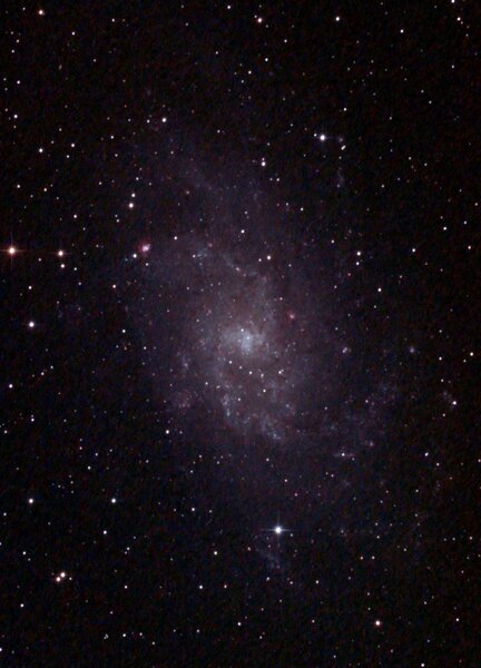 M33