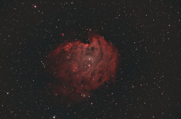 Ngc 2175 Nebula