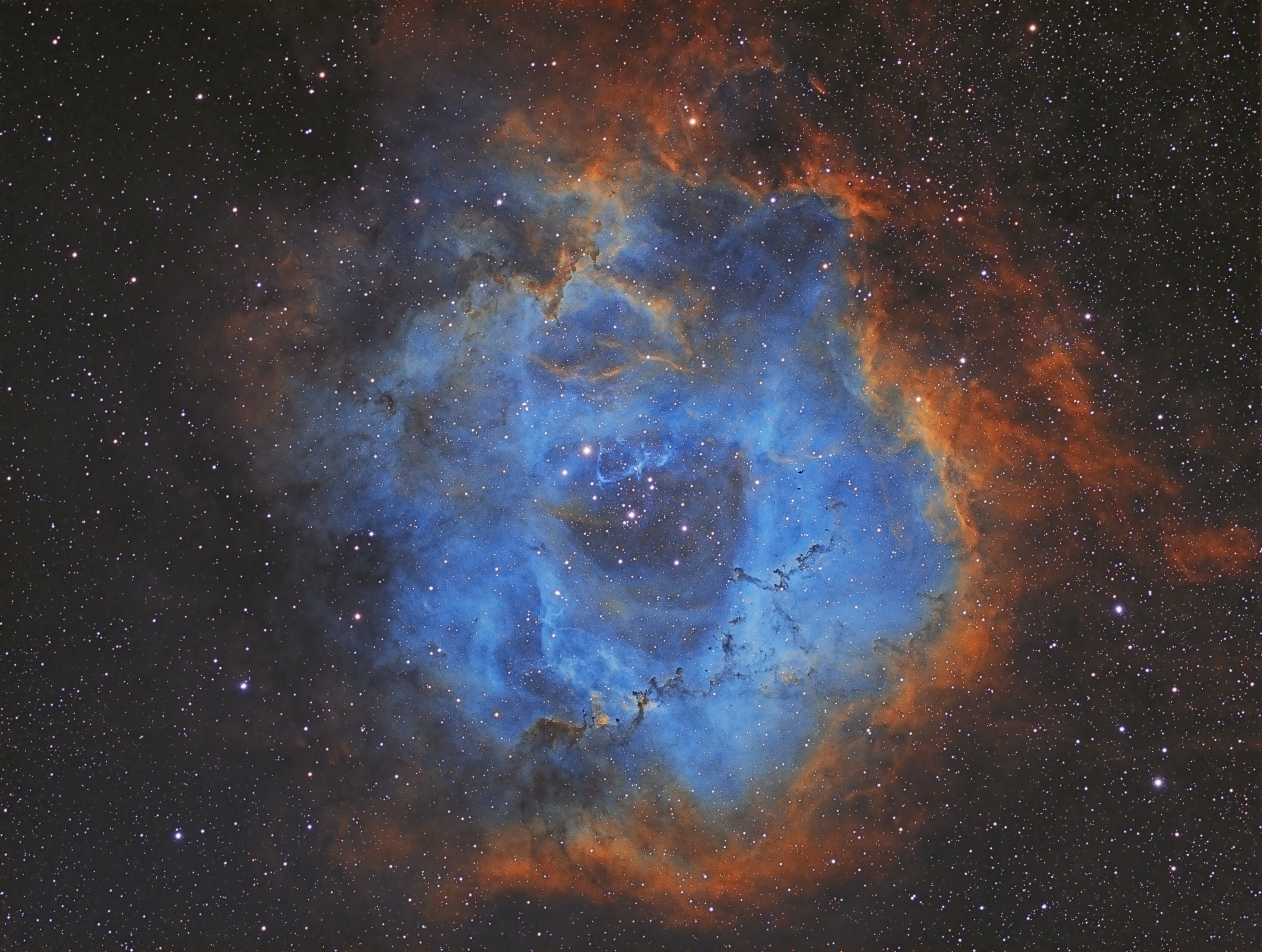 Ngc 2244 Open Cluster & Rosette Nebula In Monoceros