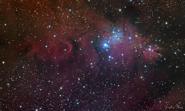 Ngc2264 Cone & Christmas & Fox Fur Nebulas Halrgb