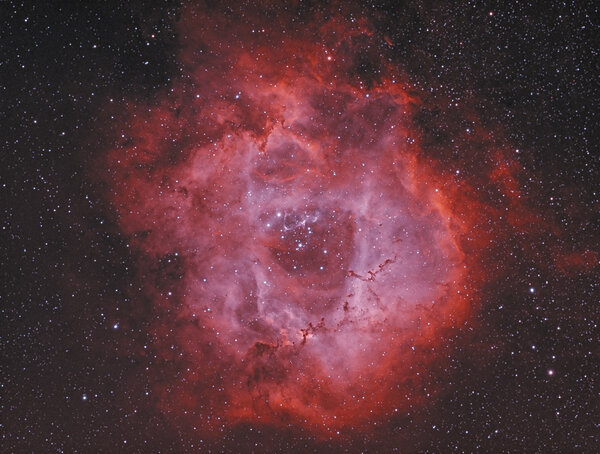 Ngc 2244 Open Cluster & Rosette Nebula In Monoceros