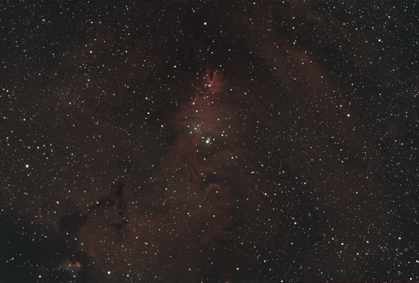 Περισσότερες πληροφορίες για το "Christmas Tree Cluster Ngc2264"