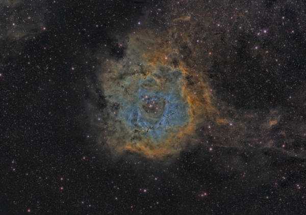 C49 - Rosette Nebula