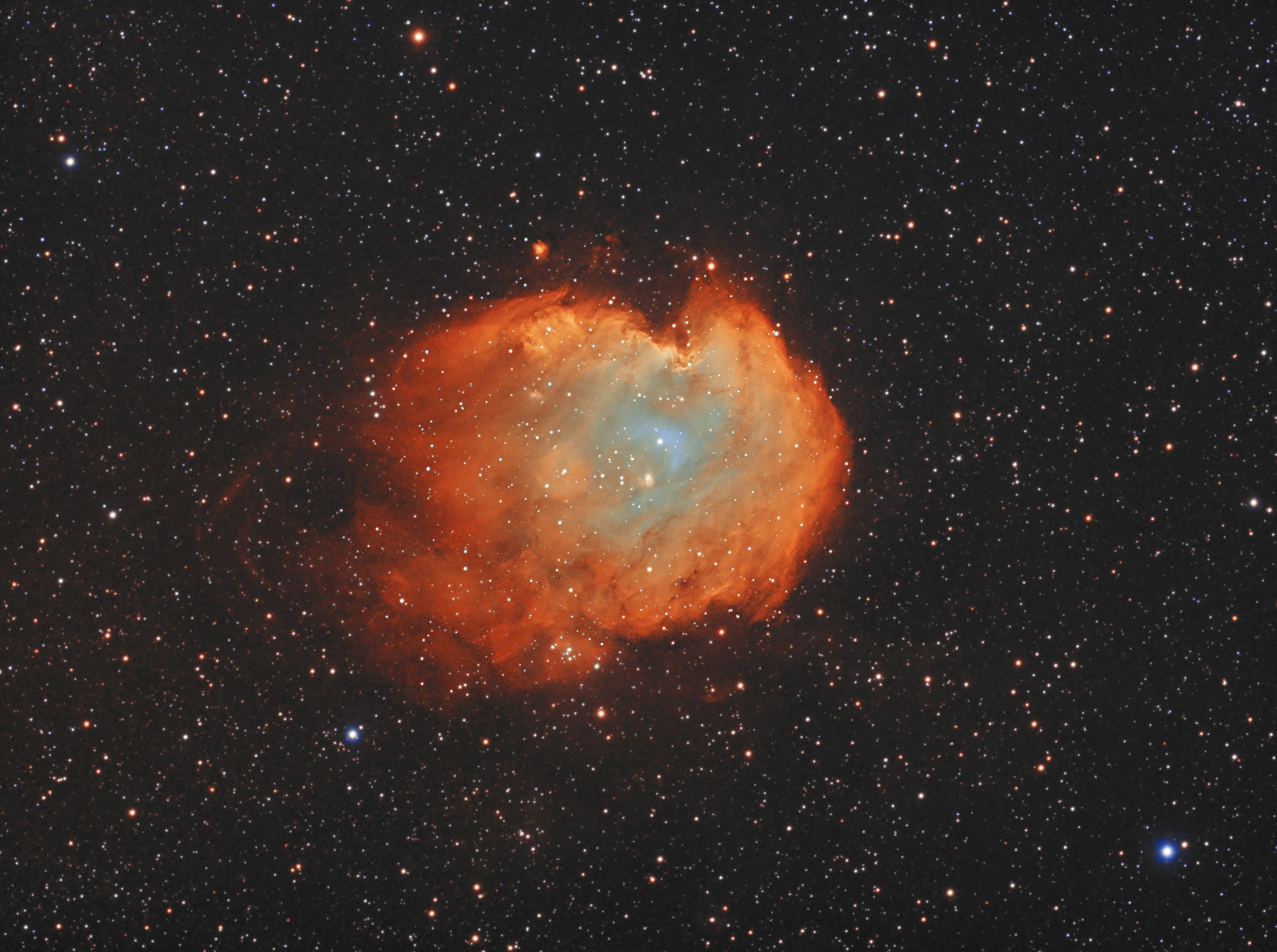 Ngc 2174 Monkey Head Nebula In Orion
