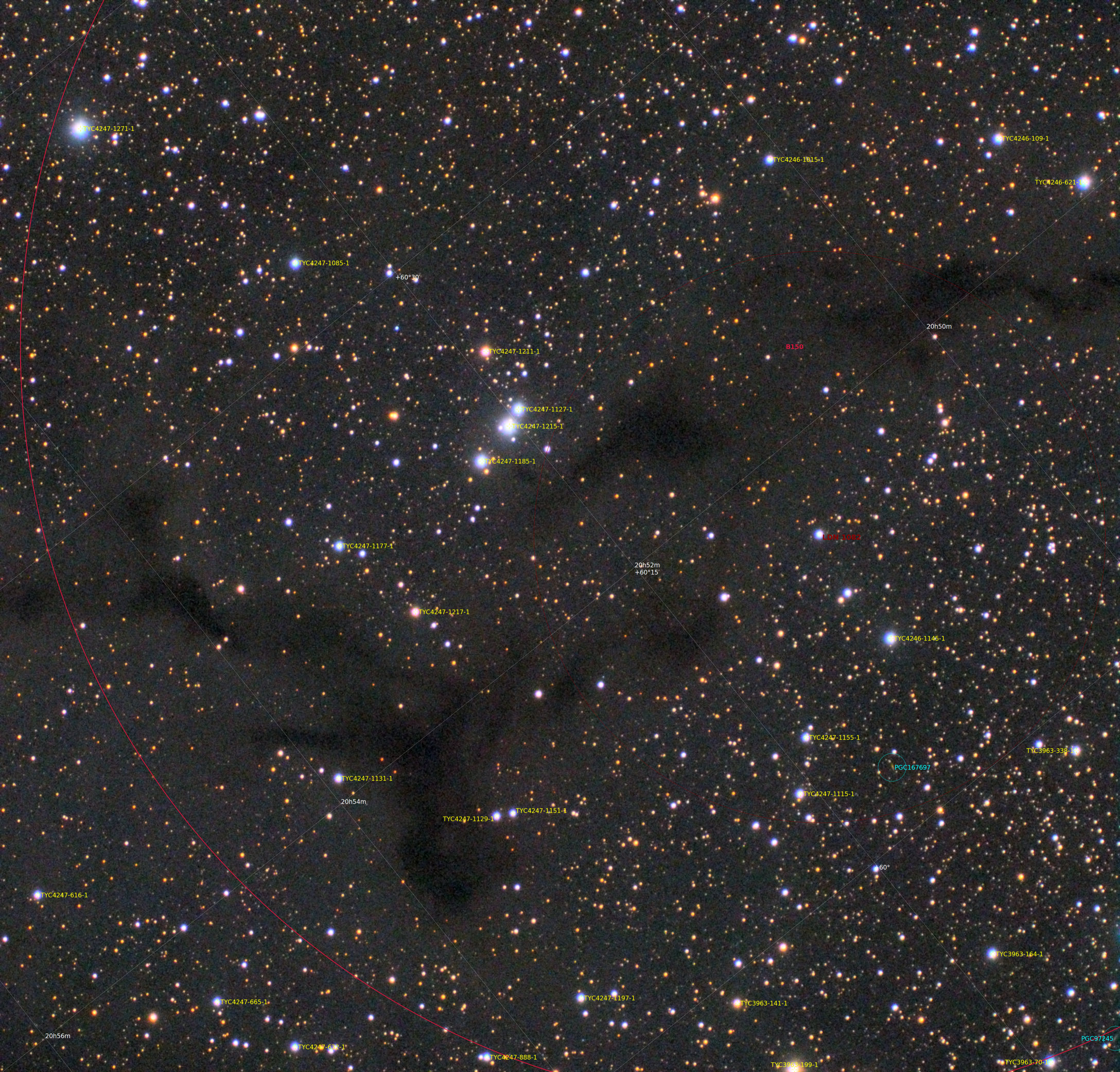 Barnard 150 Annotated (seahorse Nebula , Ldn 1082)