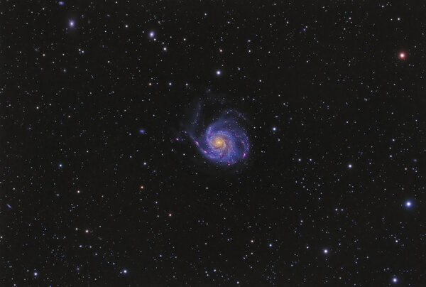 M101 The Pinwheel Galaxy In Ursa Major