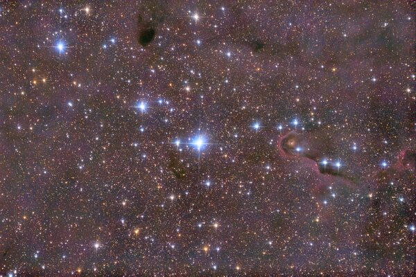 Ic1396 - Elephant Trunk