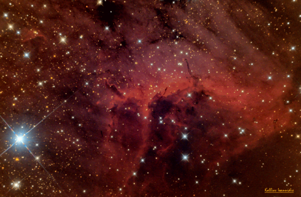 Ic 5070 (pelican Nebula).