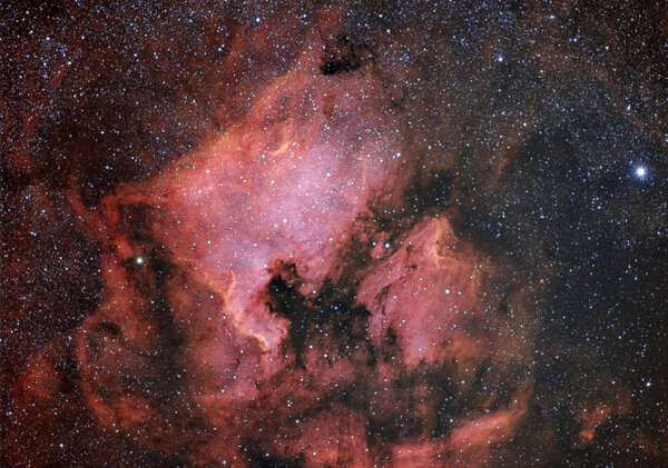 Ngc7000 & Ic5070 In Cygnus