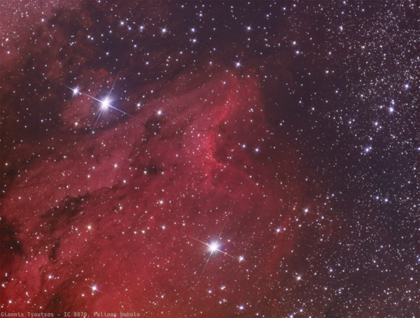 Ic 5070 - Pelican Nebula