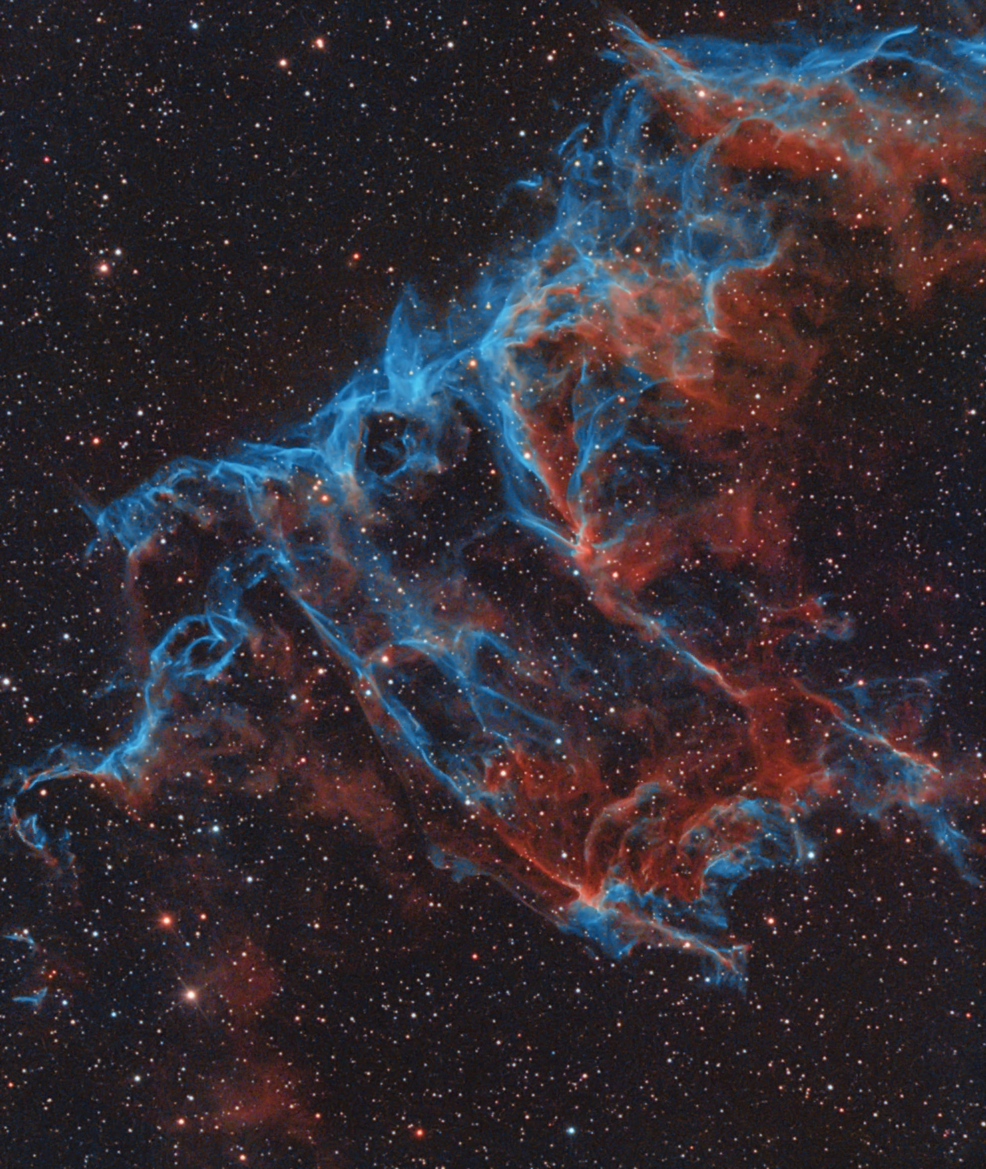 Ngc 6995 - Bat Nebula