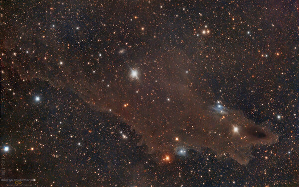 Ldn 1235 The Shark Nebula