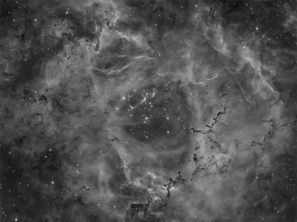 Ngc 2238 - Rosette Nebula Starless (animated)