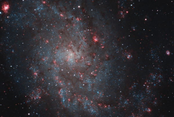 M33