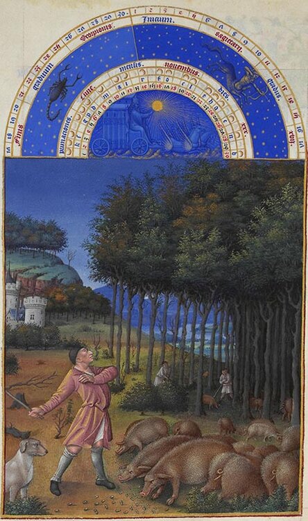 1606098279_Les_Tr232s_Riches_Heures_du_duc_de_Berry_novembre.thumb.jpg.64de15395b30938016d95239be812560.jpg