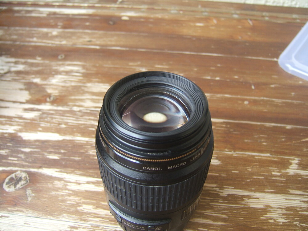 Canon100_1.thumb.JPG.b7b91d6bb006260694fc899185e43e47.JPG