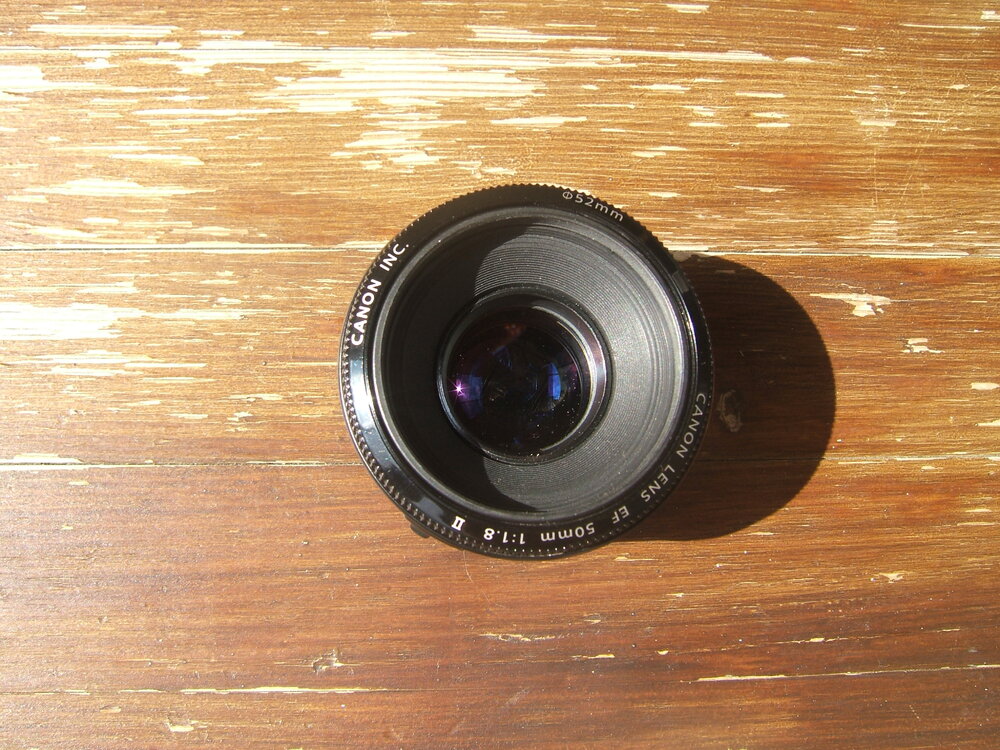 Canon50_2.thumb.JPG.3da3685789db1fdf180de90e990989ea.JPG