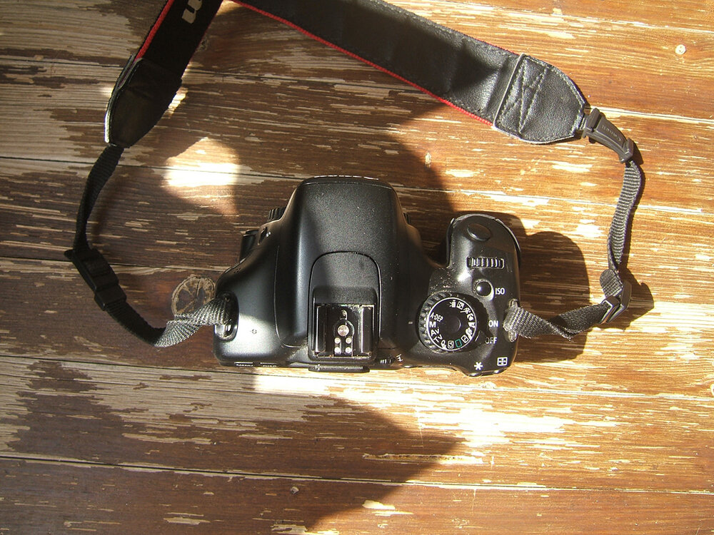 Canon550D_2.thumb.jpg.7d0554d57b942b53dda8f31134c83798.jpg