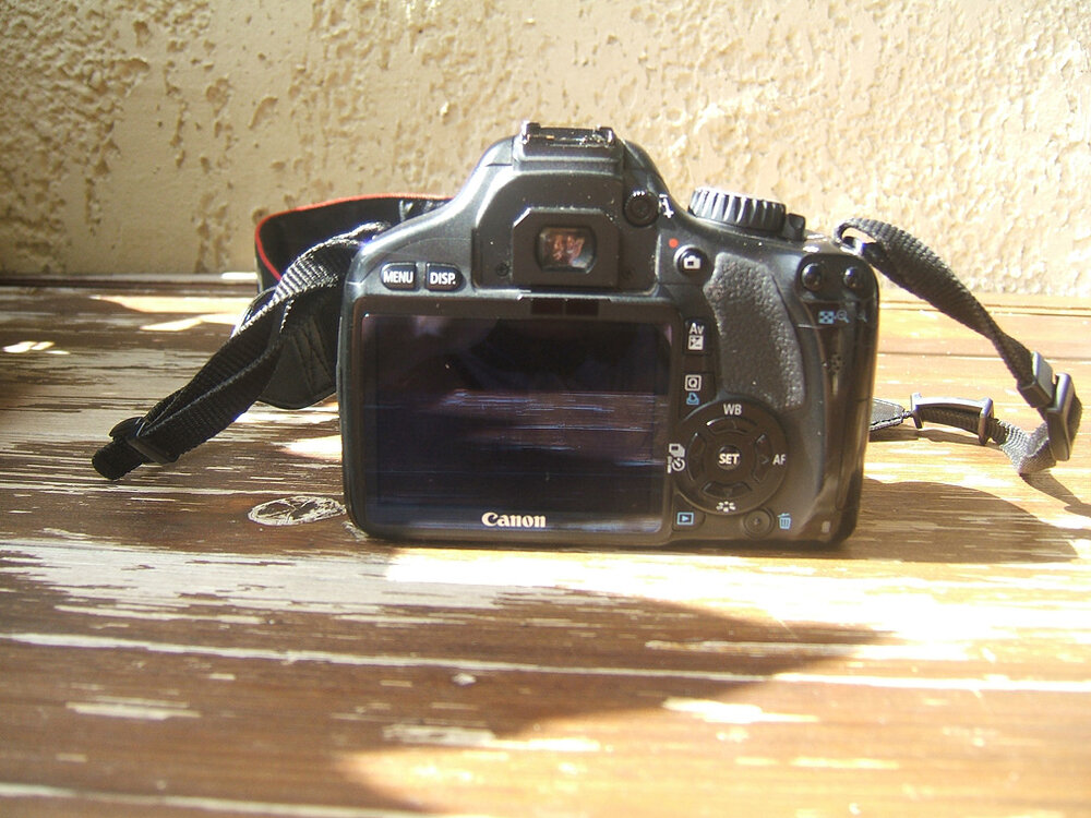 Canon550D_3.thumb.jpg.0cddd55c92efc46a9553f40e89655a49.jpg