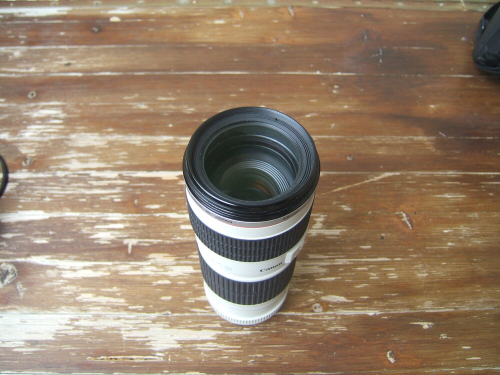 Canon70-200_1.thumb.JPG.7993fc7f7c43fdc576d7d04c52ff637d.JPG