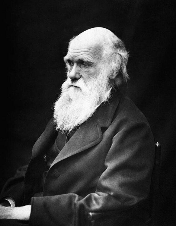Charles_Darwin_01.thumb.jpg.b429920b38748e03eadf319ea7ed53d7.jpg