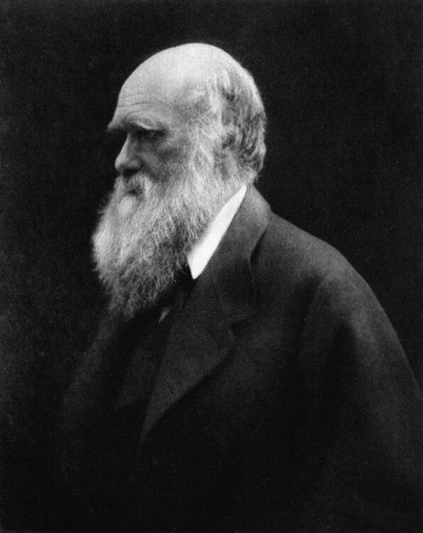 Charles_Darwin_by_Julia_Margaret_Cameron_2.thumb.jpg.52f3c27a0e6c6d689c85962cf2be7151.jpg
