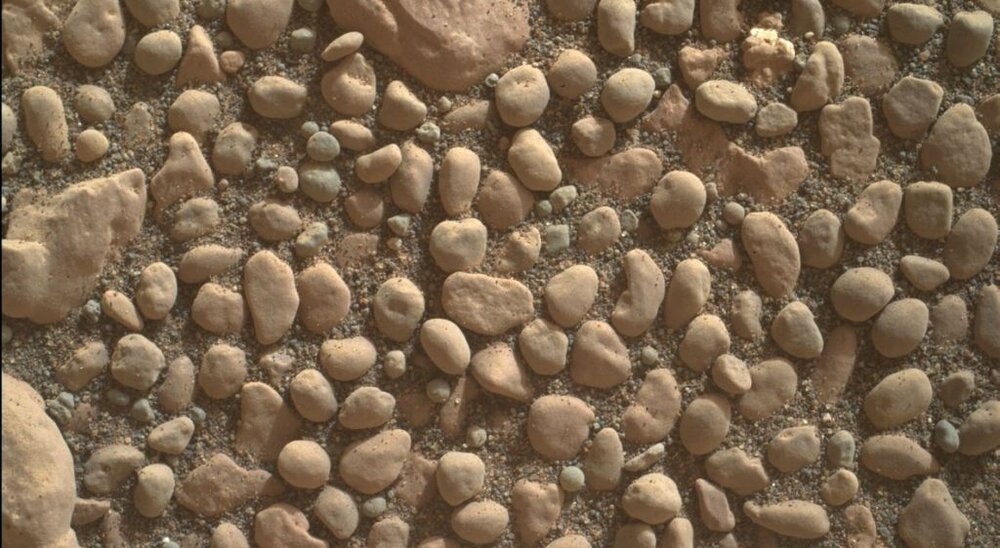 Curiosity-MAHLI-Sol-2356-March-24-2019-1024x562.thumb.jpg.bf11f6109e00fb668c616445ae75cb8d.jpg