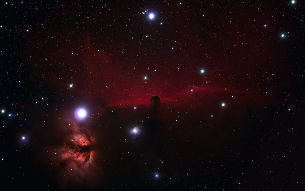 Horsehead.thumb.jpg.2d7751ed185f30d01a1704a8081251e1.jpg
