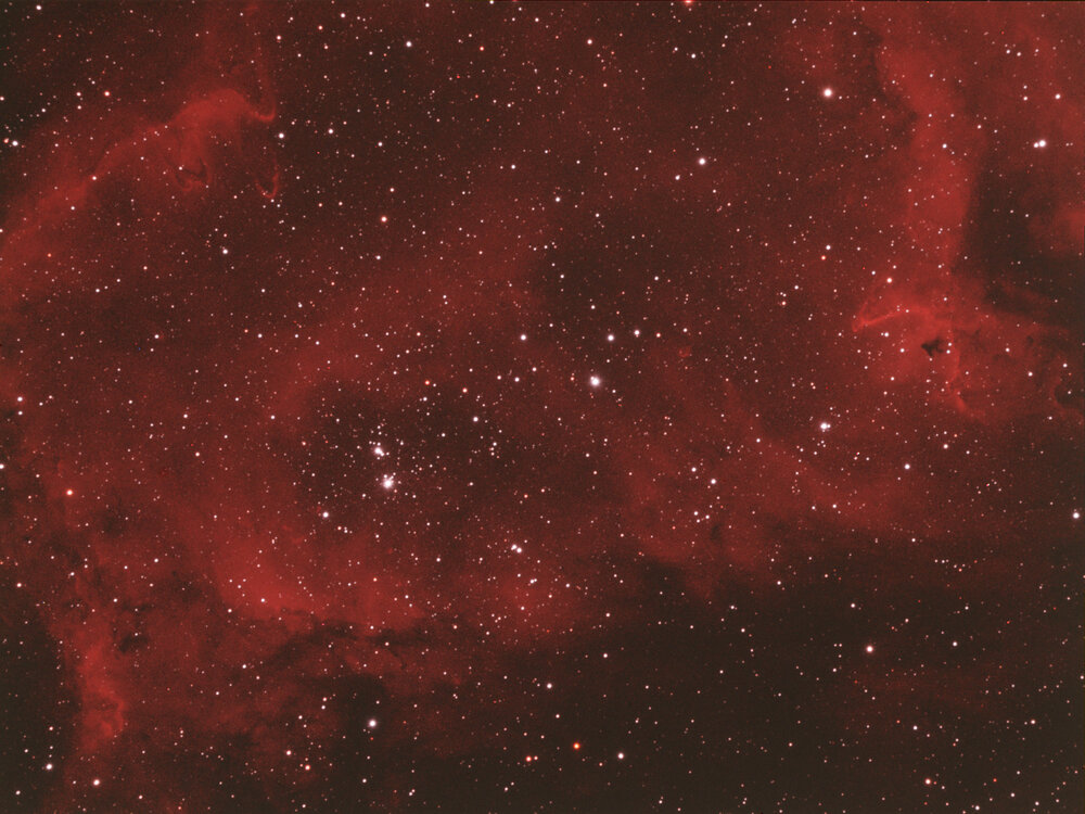 IC1484.thumb.jpg.fcc8031226df6223c2516ed55e4c1671.jpg